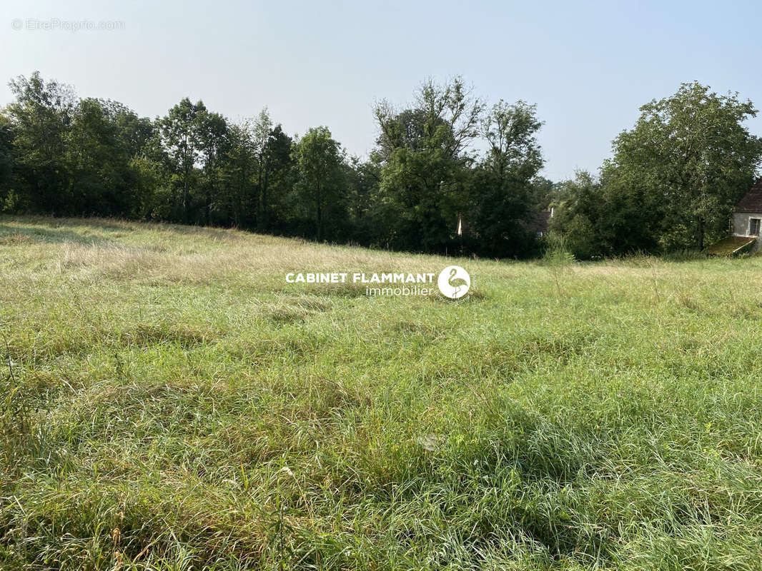 Terrain à VILLARS-ET-VILLENOTTE