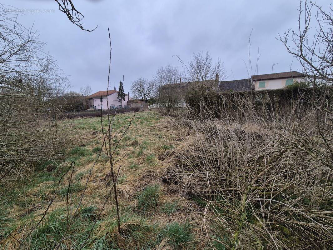 Terrain à VILLERS-SUR-NIED