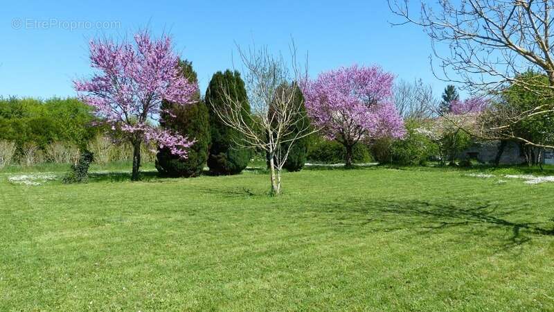 CHARENTE, COURCOME, maison 198 m², 4 chambres, grange, terrain 2401 m² clos - photo 2