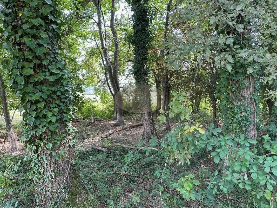 Maison à MONLEON-MAGNOAC