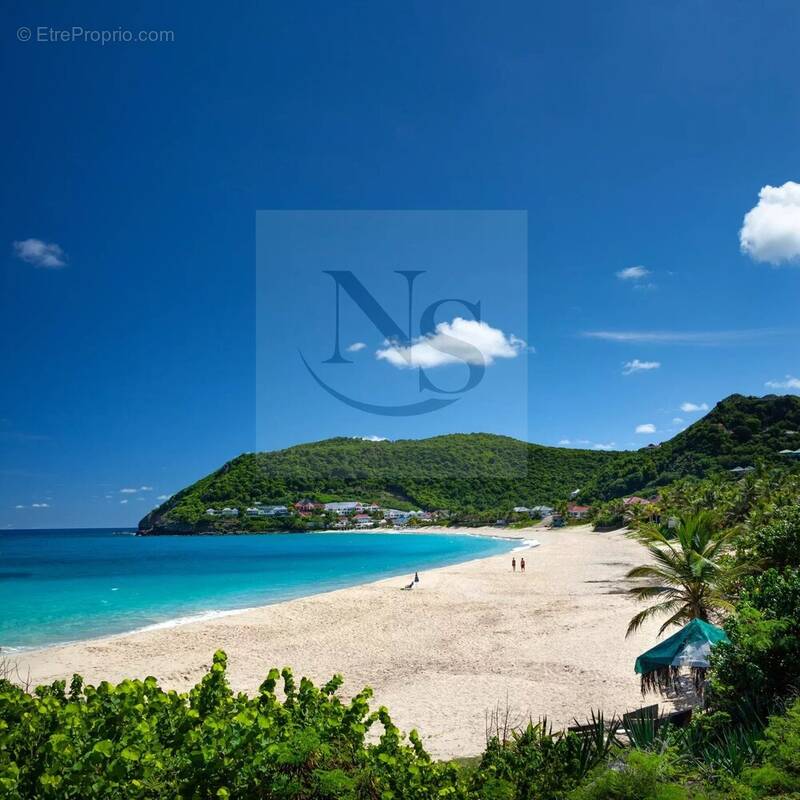 Maison à CAPESTERRE-BELLE-EAU