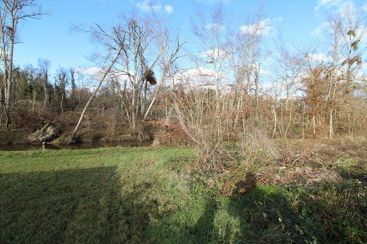 Maison à HUISSEAU-SUR-COSSON