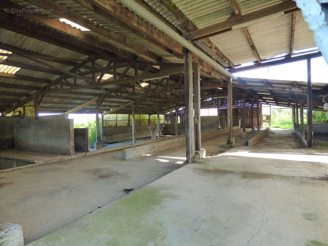 Ferme avec + de 6HA de terrain - photo 14