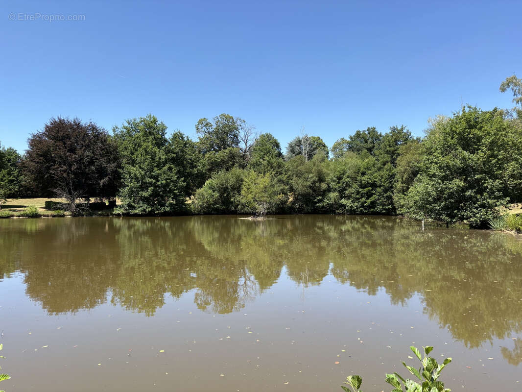 Coussac Bonneval Propriété exceptionnelle avec etang et 2.86 hecatres sans voisinage proche - photo 2