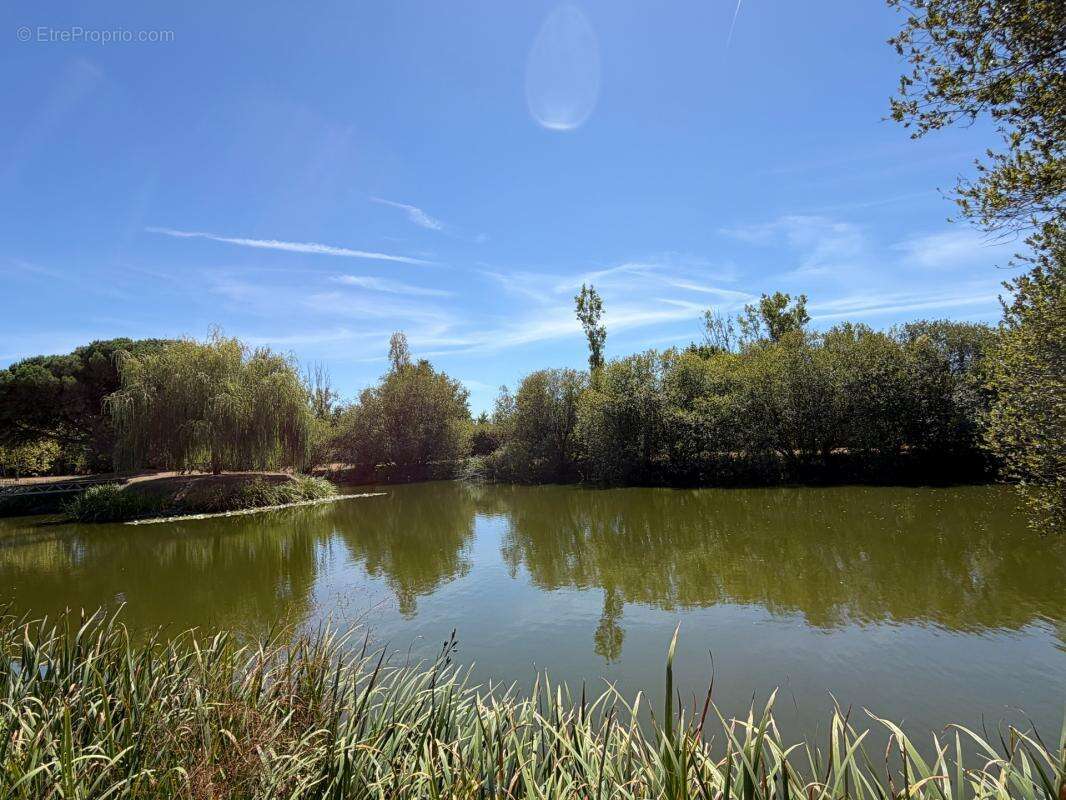 Soullans 85300 - domaine prive de 3,2 hectares clos - propriete d'exception avec granges et presqu'ile - photo 2