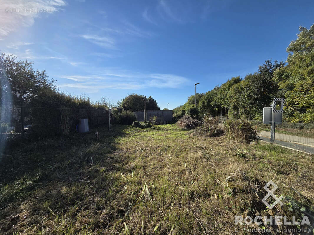 Terrain à SALLES-SUR-MER