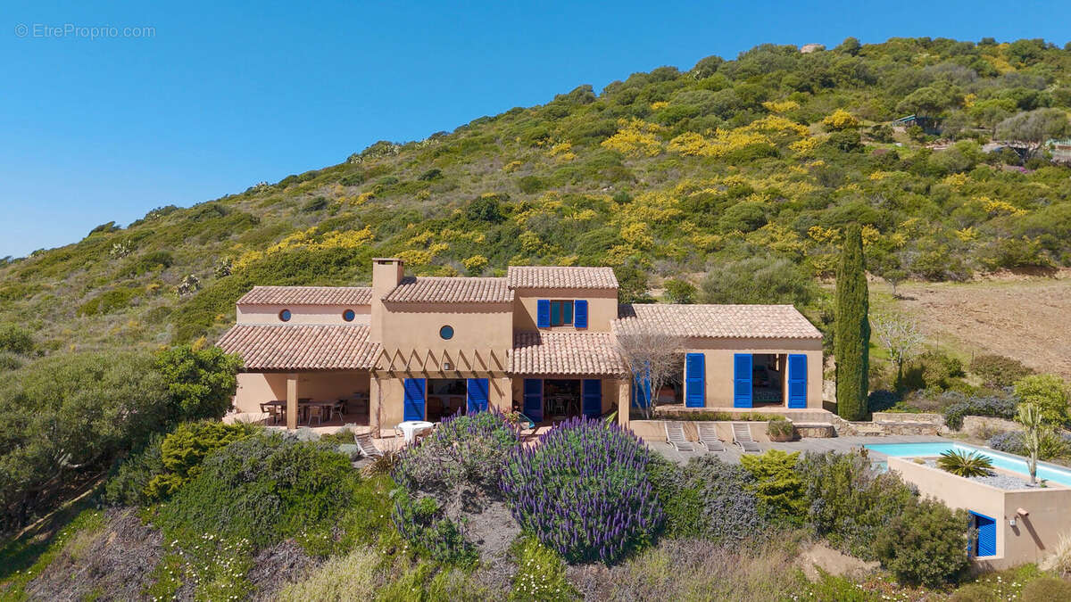 Casa Latina - photo 5