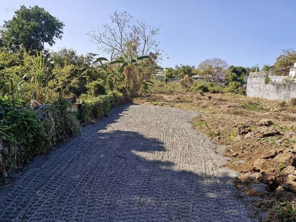 Terrain à LE TAMPON