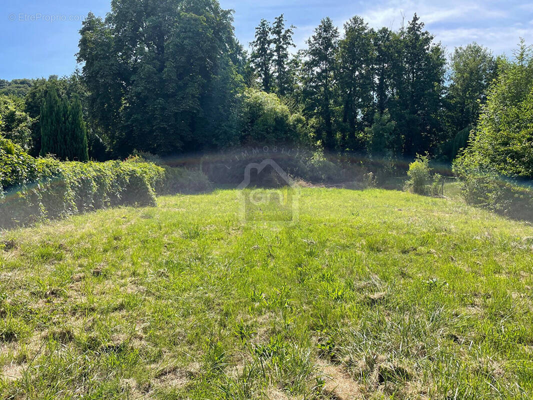 Terrain à CUISE-LA-MOTTE