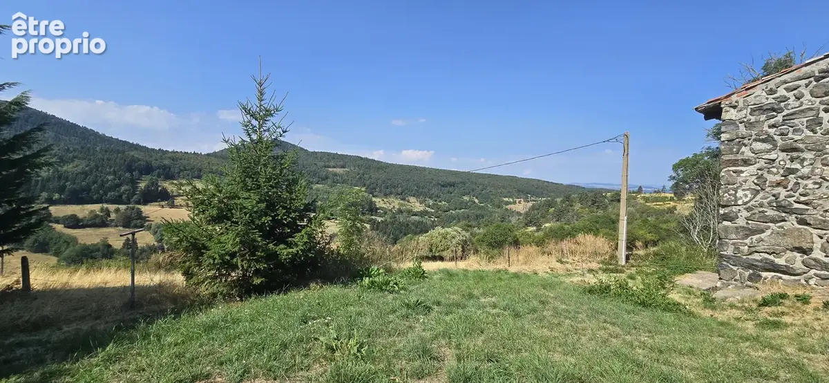 Maison en pierre de 188 m2 habitables sur un peu plus de 3 hectares de terrain - photo 7