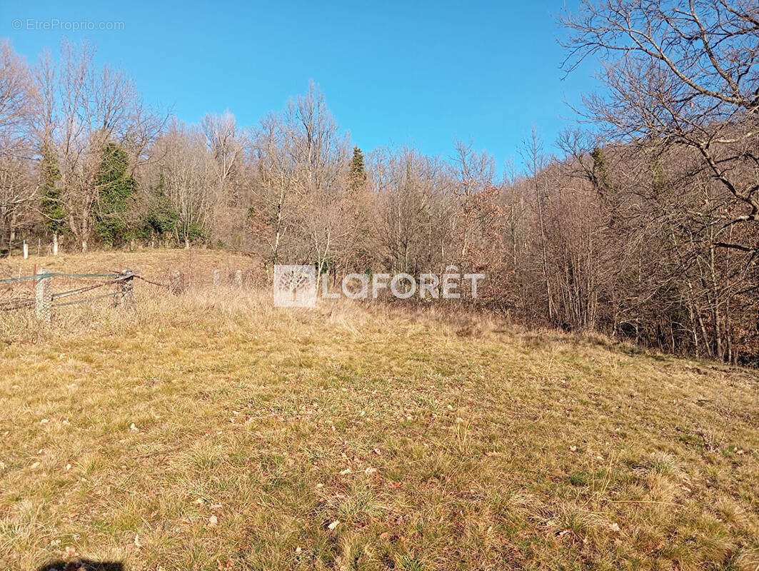 Terrain à PRATS-DE-MOLLO-LA-PRESTE