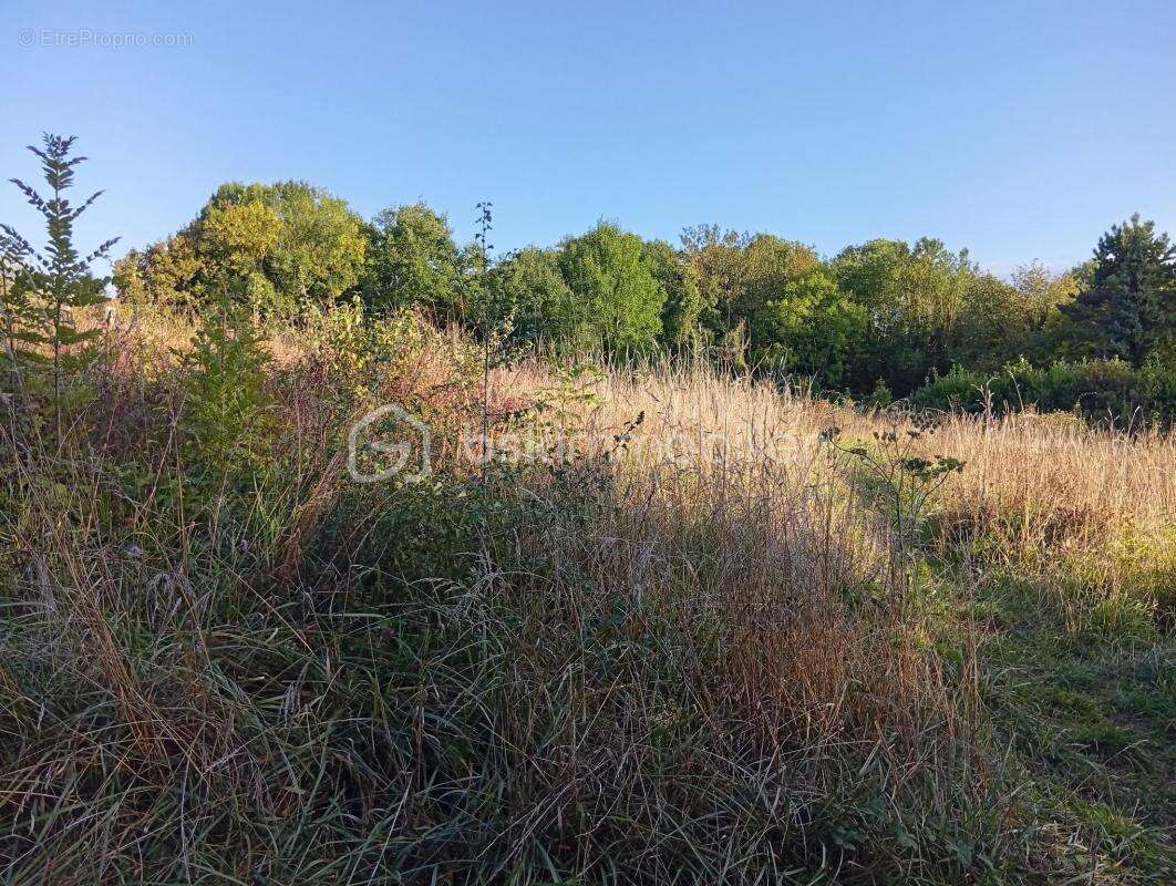 Terrain à SAINTE-GENEVIEVE