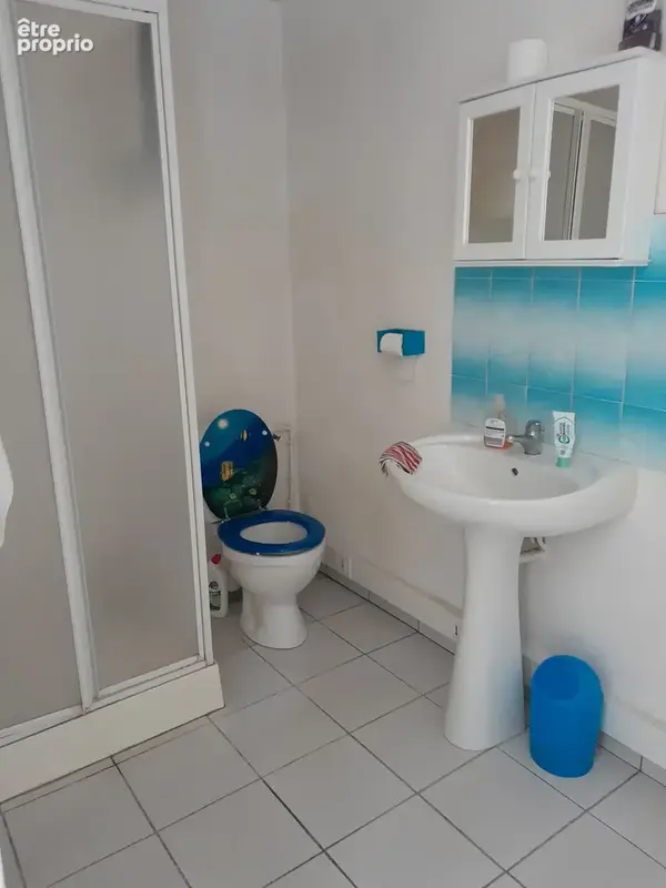 Maison t5 avec piscine, dependance et garage - photo 15
