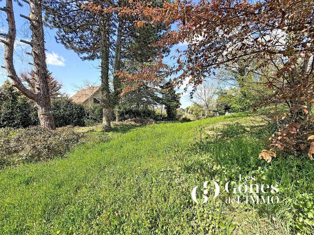 Terrain à SAINTE-FOY-LES-LYON