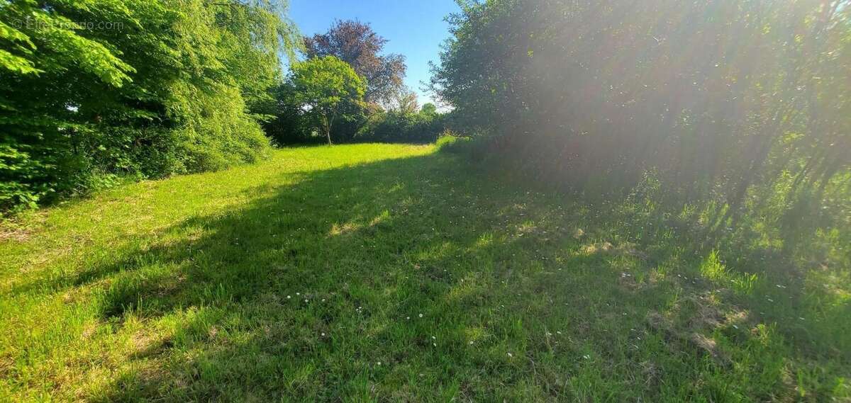 Photo 7 - Maison à ROCHECORBON