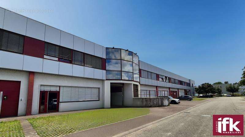 Commerce à HORBOURG-WIHR