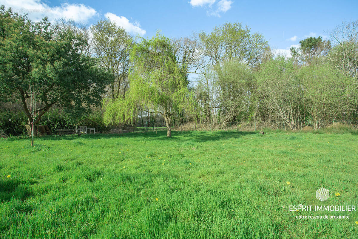 Terrain à RIEC-SUR-BELON