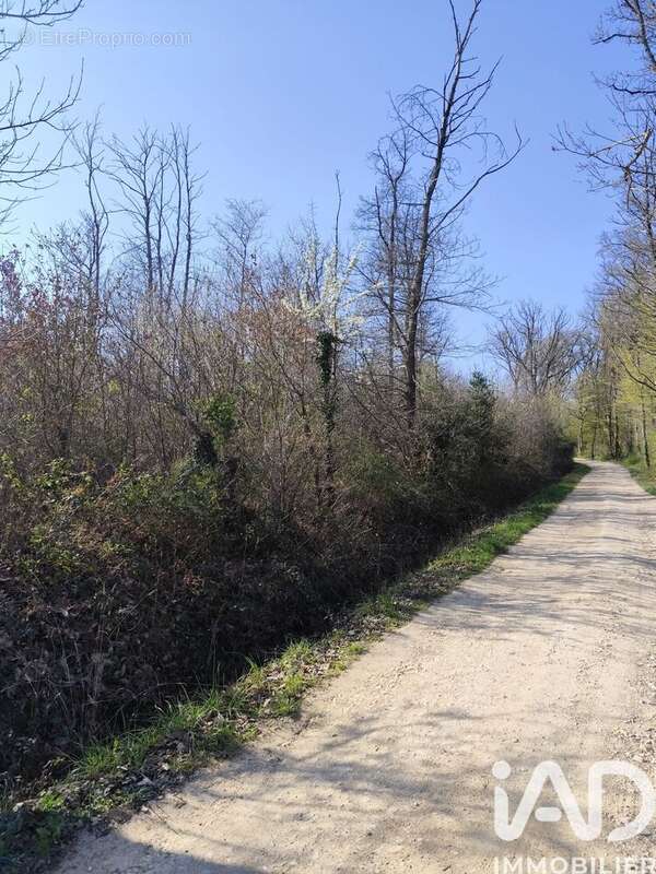 Photo 3 - Terrain à SURY-PRES-LERE