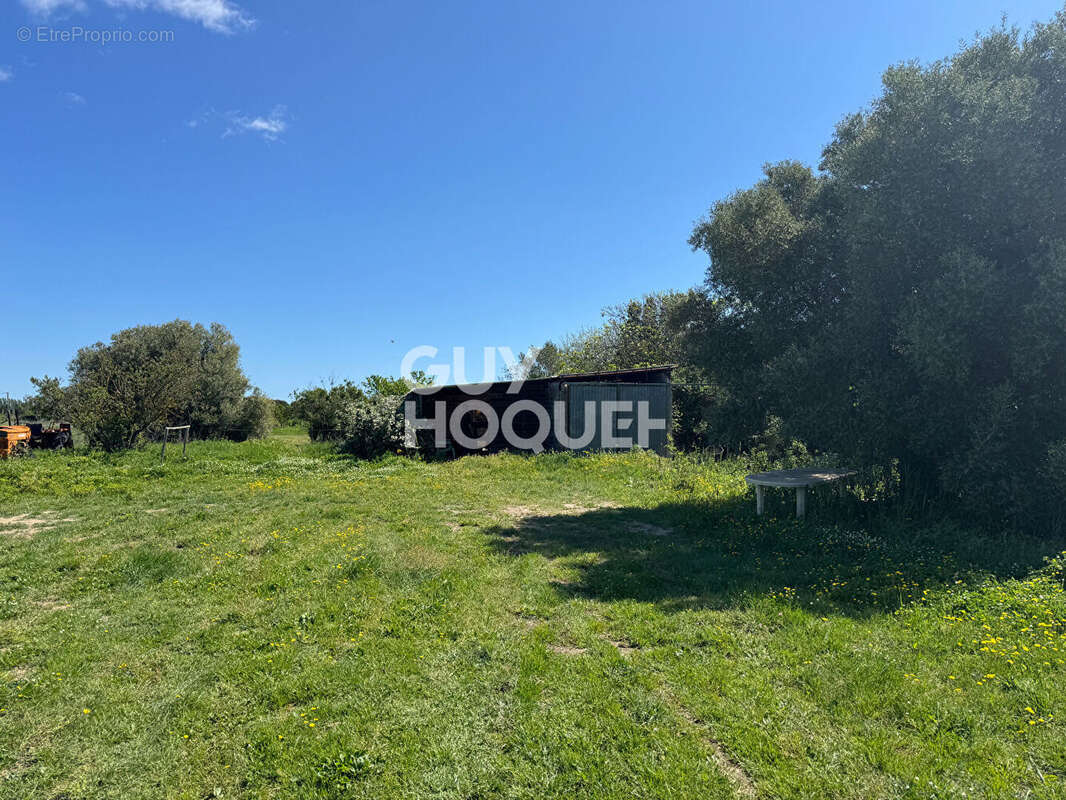 Terrain à SAINT-CYPRIEN