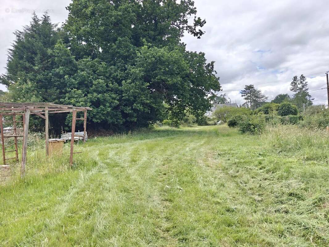 Terrain constructible BRIONNE - photo 4
