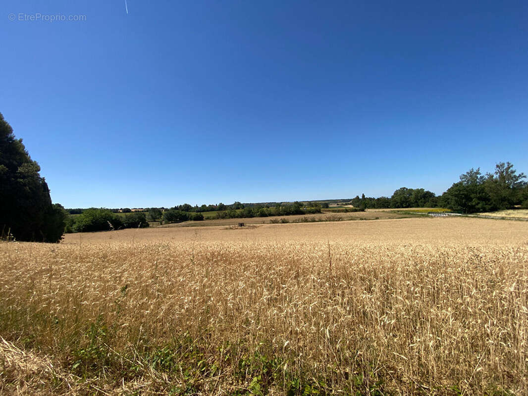 Propriété avec dépendances sur 2,5 ha - photo 17