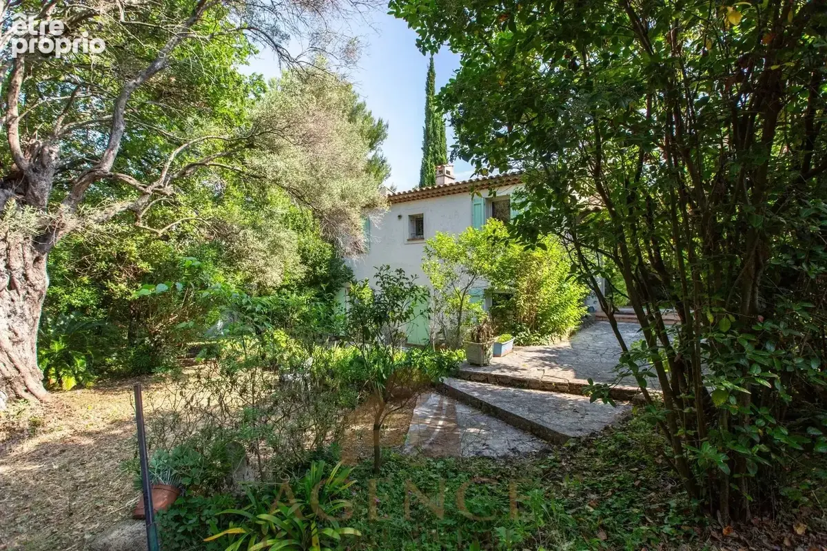 Antibes Suquette Maison avec terrain 2100m2– Authentique propriété en pierre – Environnement privilégié – Fort potentiel – Pisci - photo 7