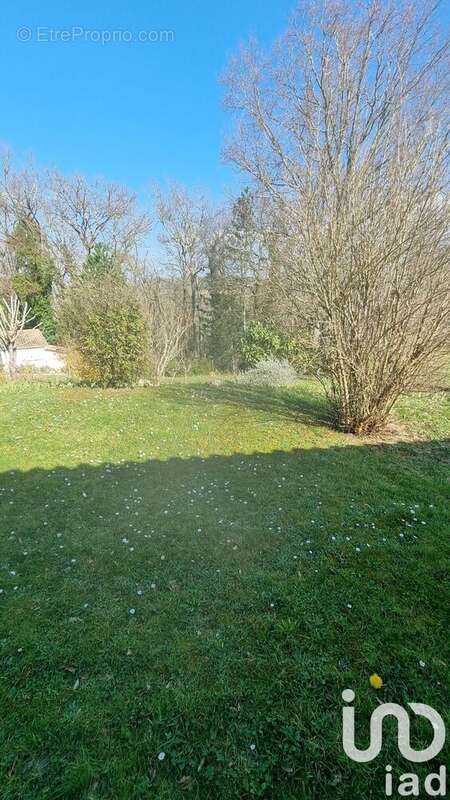 Photo 5 - Maison à PONT-DU-CASSE