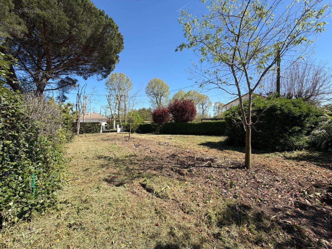 Terrain à SAINT-ALBAN