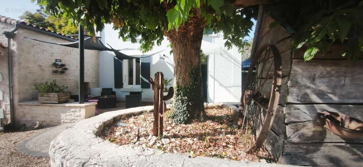 Vouillé – Maison de caractère 150 m² – Terrain arboré de 1100 m² – Coup de cœur assuré - photo 5