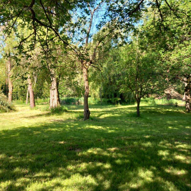 Maison à BOUZY-LA-FORET