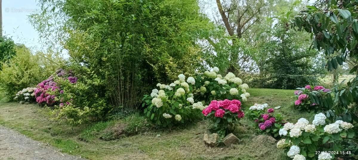 Propriété à vendre SAINT HILAIRE ( allier) comprenant une maison et un gite sur un parc de 23433 m² - photo 50