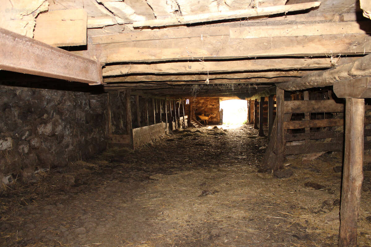 Maison à ANGLARDS-DE-SALERS