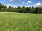 Terrain à MANNEVILLE-SUR-RISLE