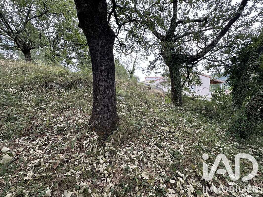 Terrain 2835 m² à Mercuer  - photo 6