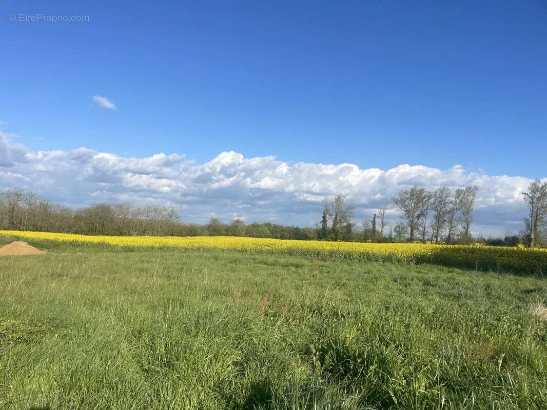 Terrain à FOURQUES-SUR-GARONNE
