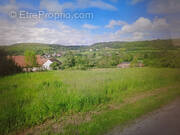 Terrain à QUINCEROT