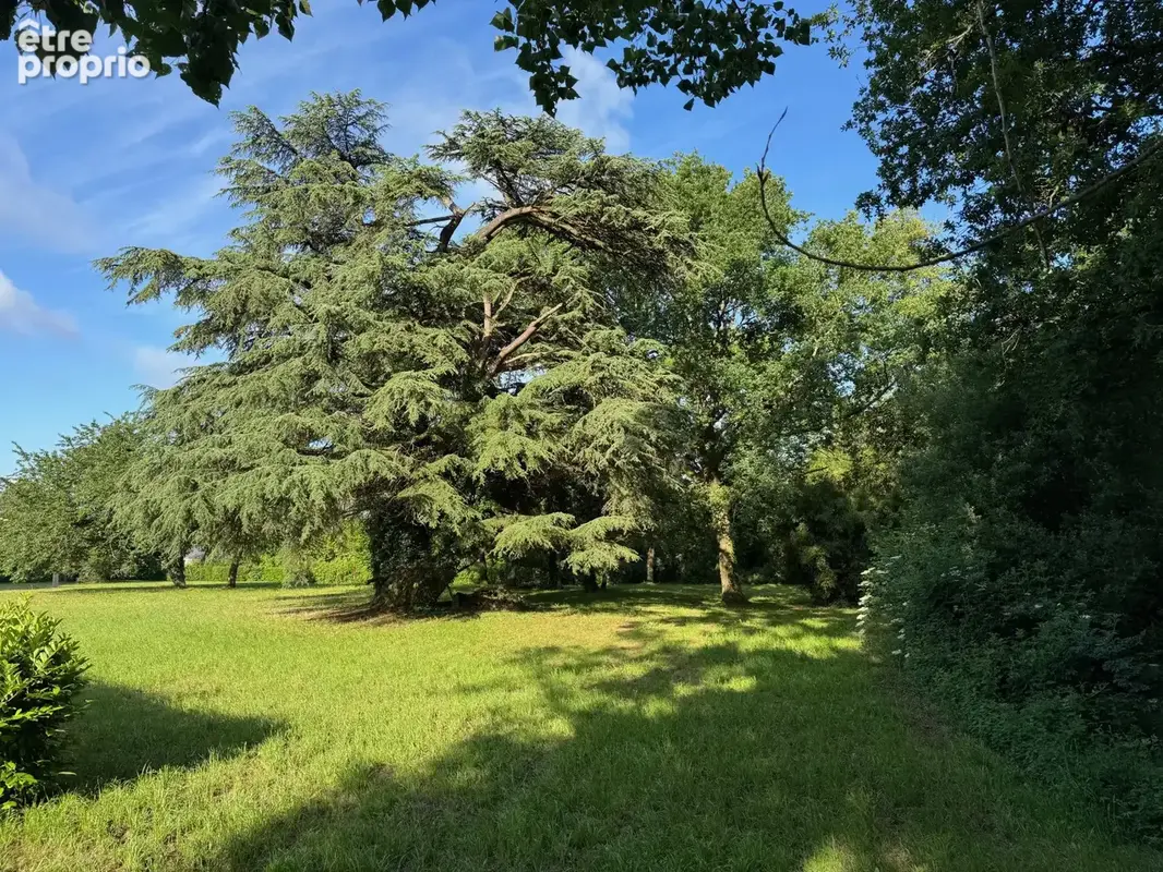 Maison 253 m² à Breuil-Barret  - photo 8