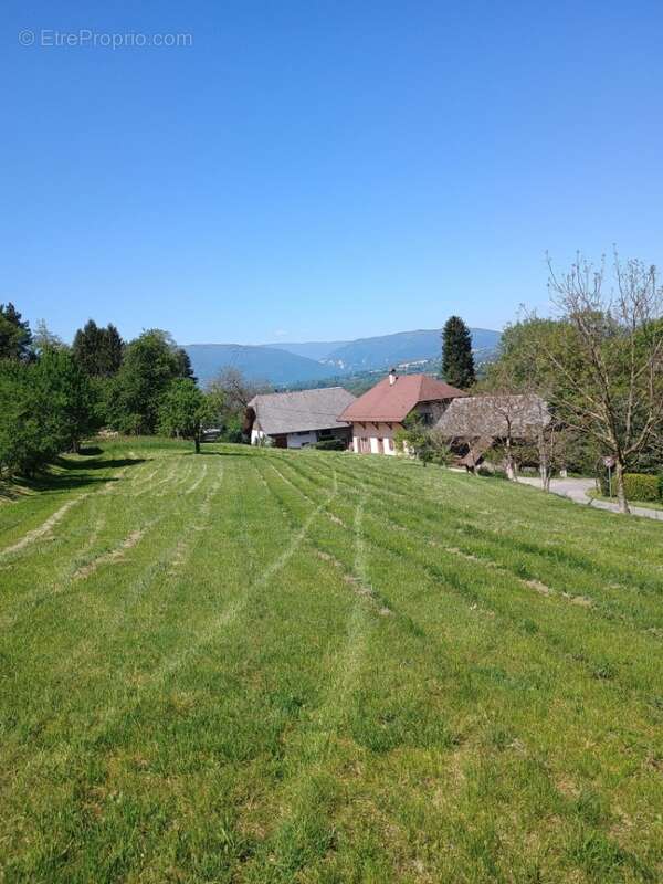 Terrain 1120 m² à Etercy  - photo 3