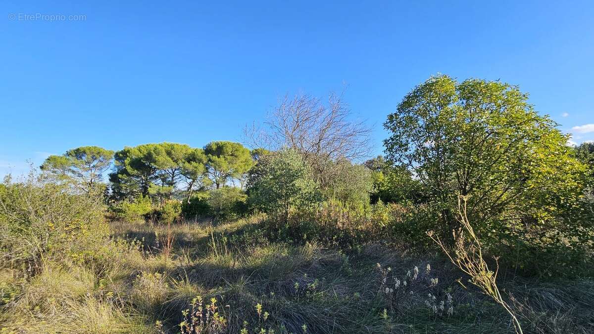 Terrain à SOMMIERES