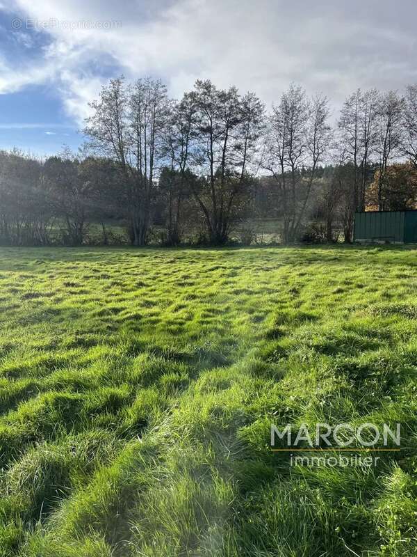 Maison à SAINT-QUENTIN-LA-CHABANNE