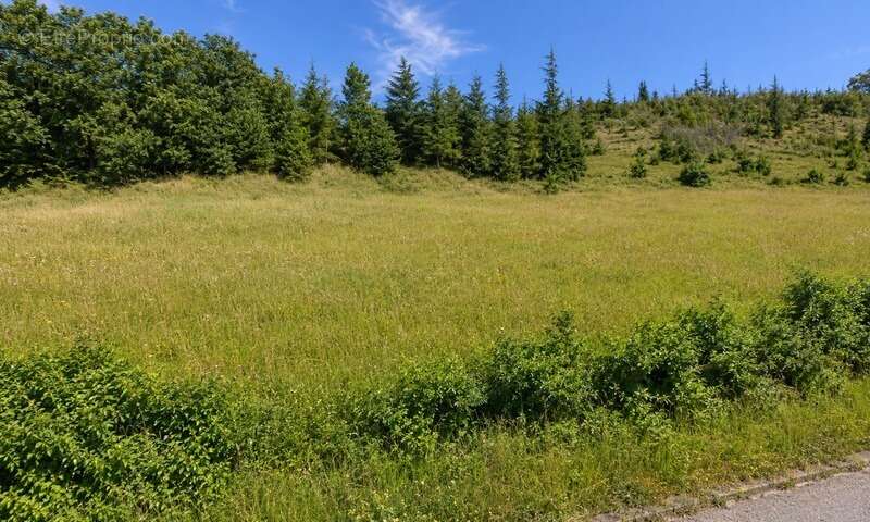 Terrain constructible 1 125 m² – Vue dégagée – Belpech (11420) - photo 2