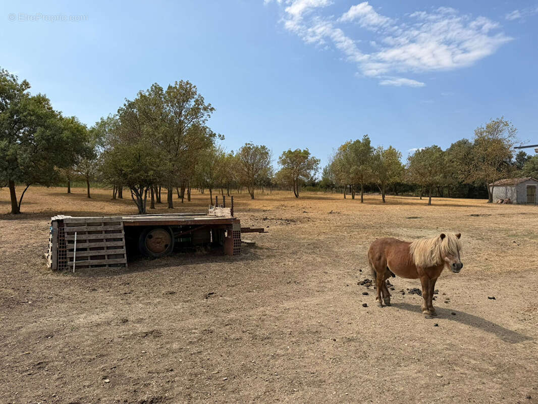 Maison de plain-pied avec piscine sur 3,65 hectares de terrain clos et arboré - photo 13
