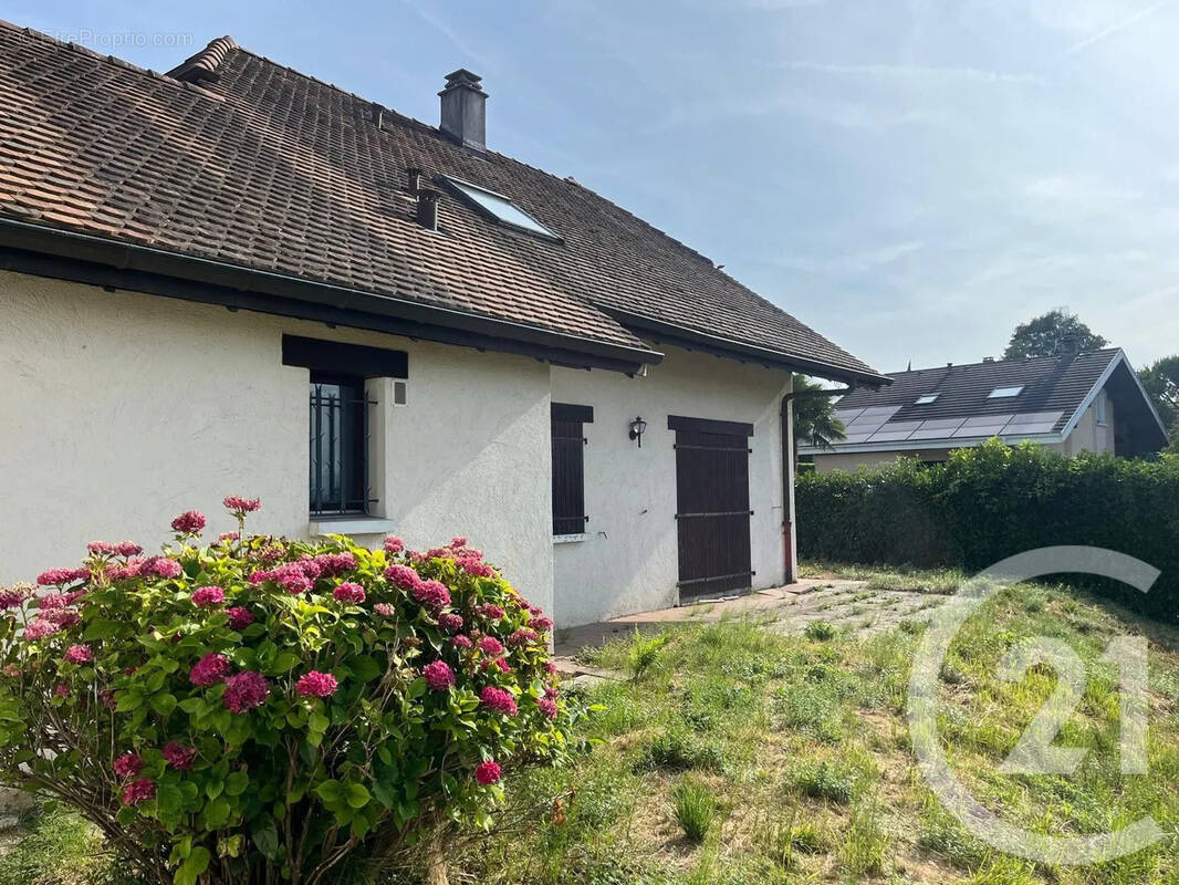 Maison à NEUVECELLE
