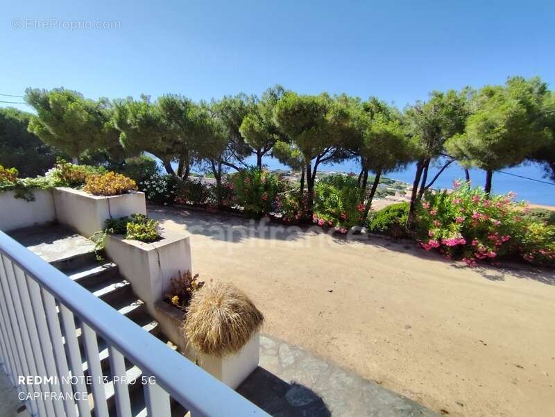 Appartement à CALVI