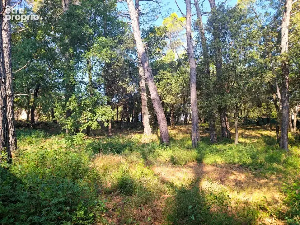 Photo Terrain à Le Thoronet au prix de 169 000€