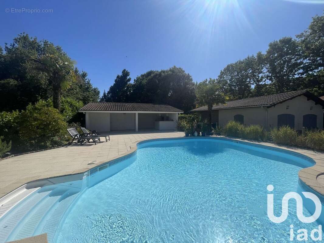 Photo 6 - Maison à AMBARES-ET-LAGRAVE