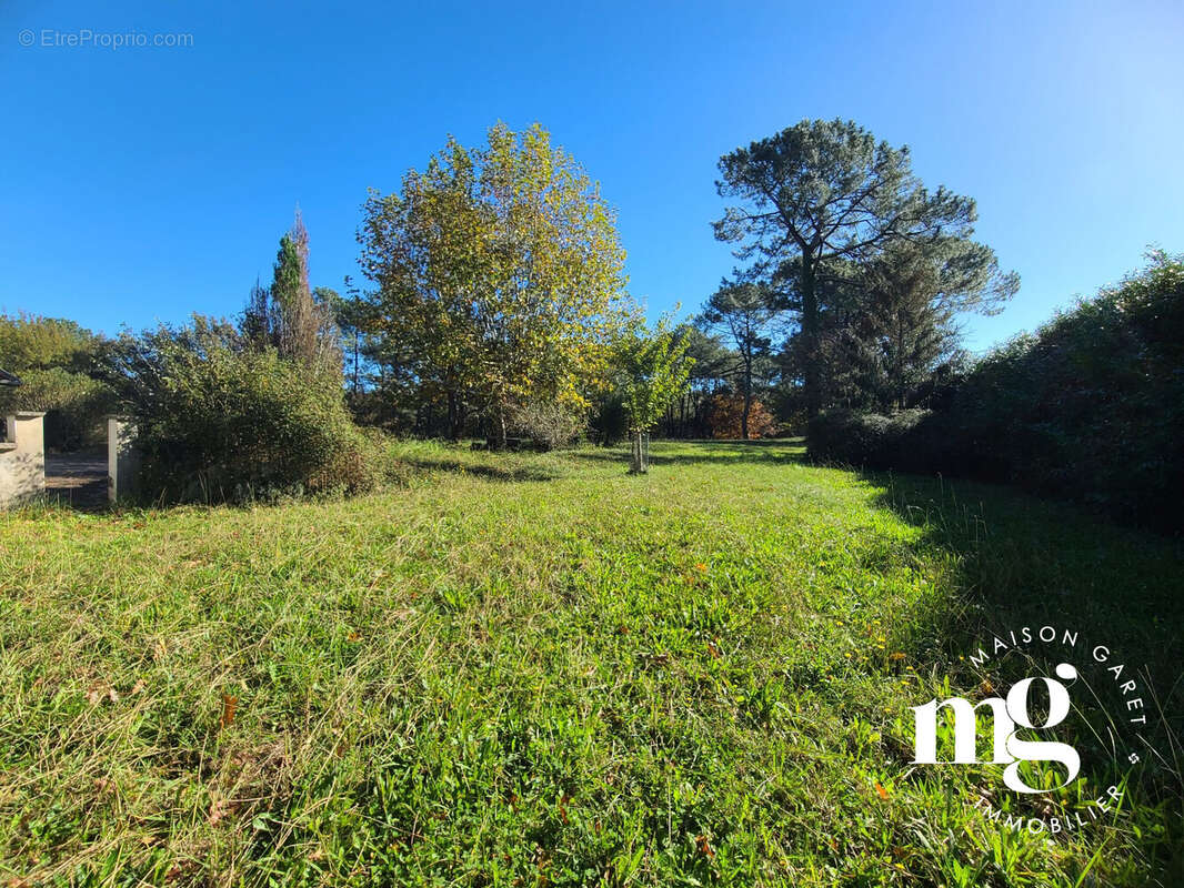 Maison 270 m² à Bidart  - photo 8