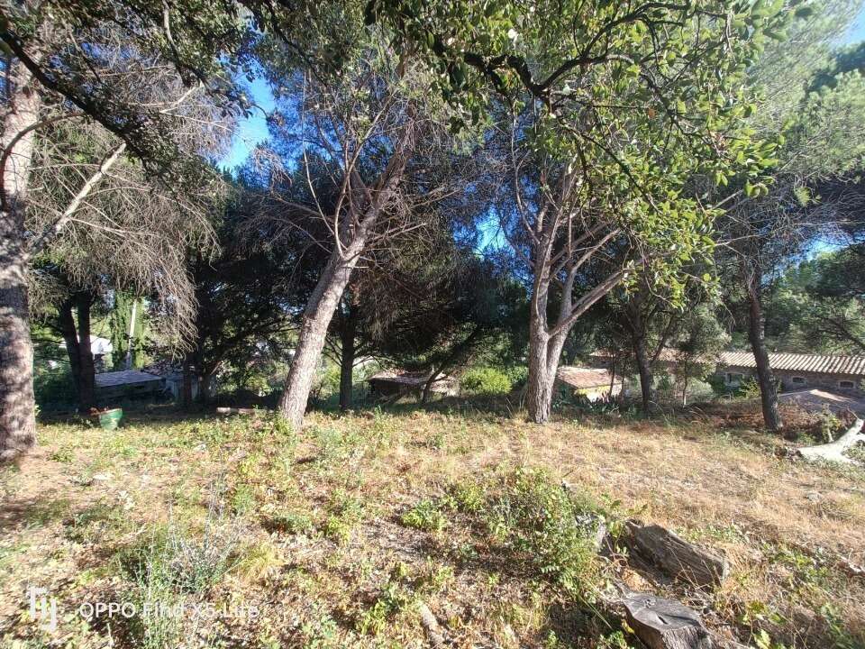 Terrain à ROQUEBRUNE-SUR-ARGENS