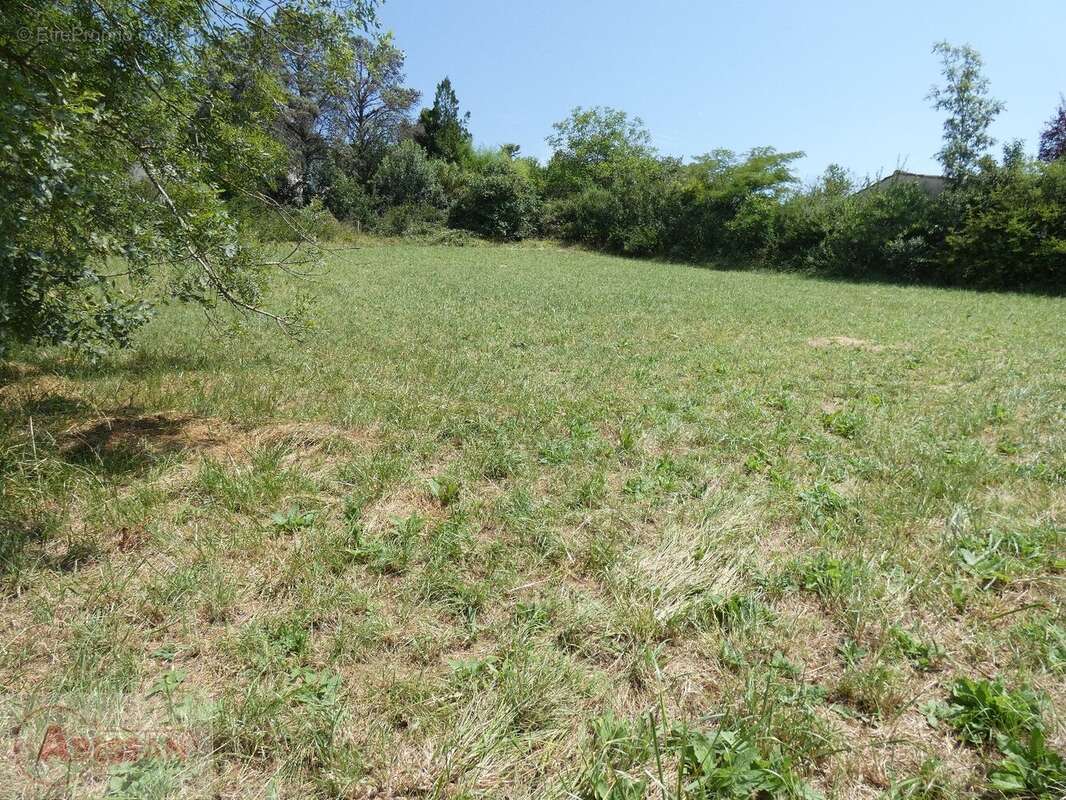 Terrain à CORDES-SUR-CIEL