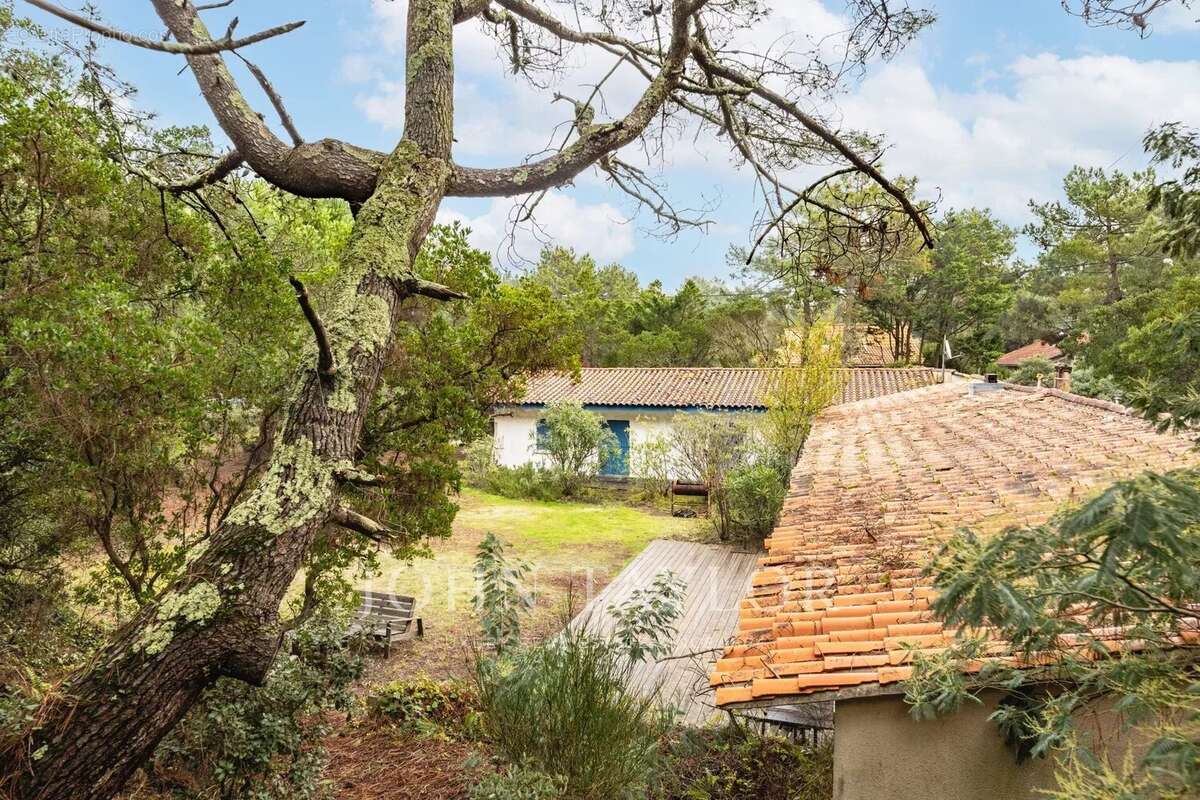 Maison à LEGE-CAP-FERRET